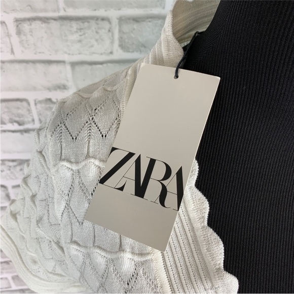 Zara | NWT White Scallop V Neck Short Sleeve Pointelle Knit Crop Top L - Picture 3 of 7